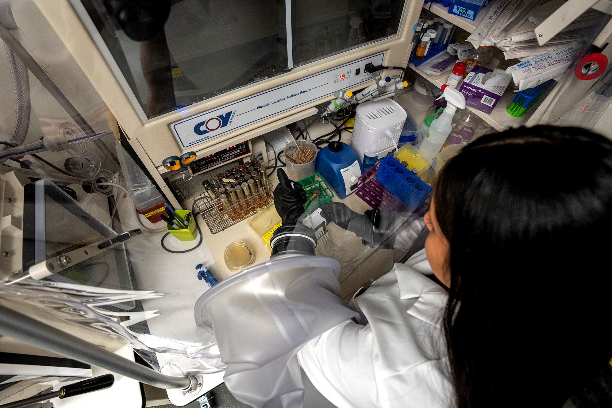 An aerial view of Celine Lopez Padilla as she handles bacterial specimens and experiments with her arms inside an enclosed, oxygen-limited chamber.