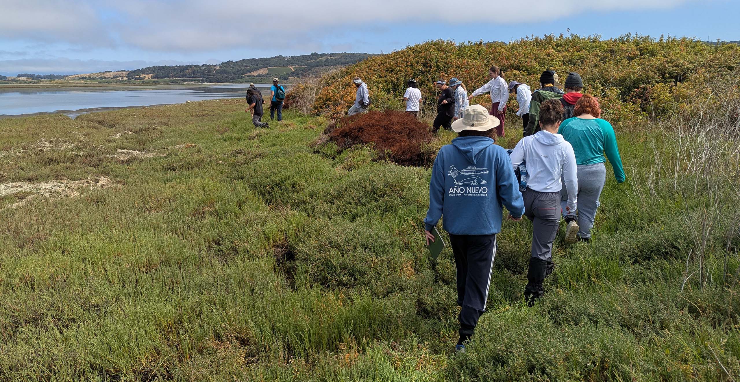Students hiking in a line through a wetland