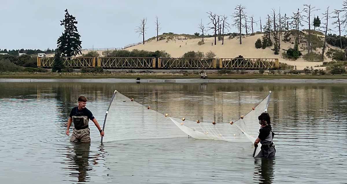 Two people pulling a seine net through shallow water