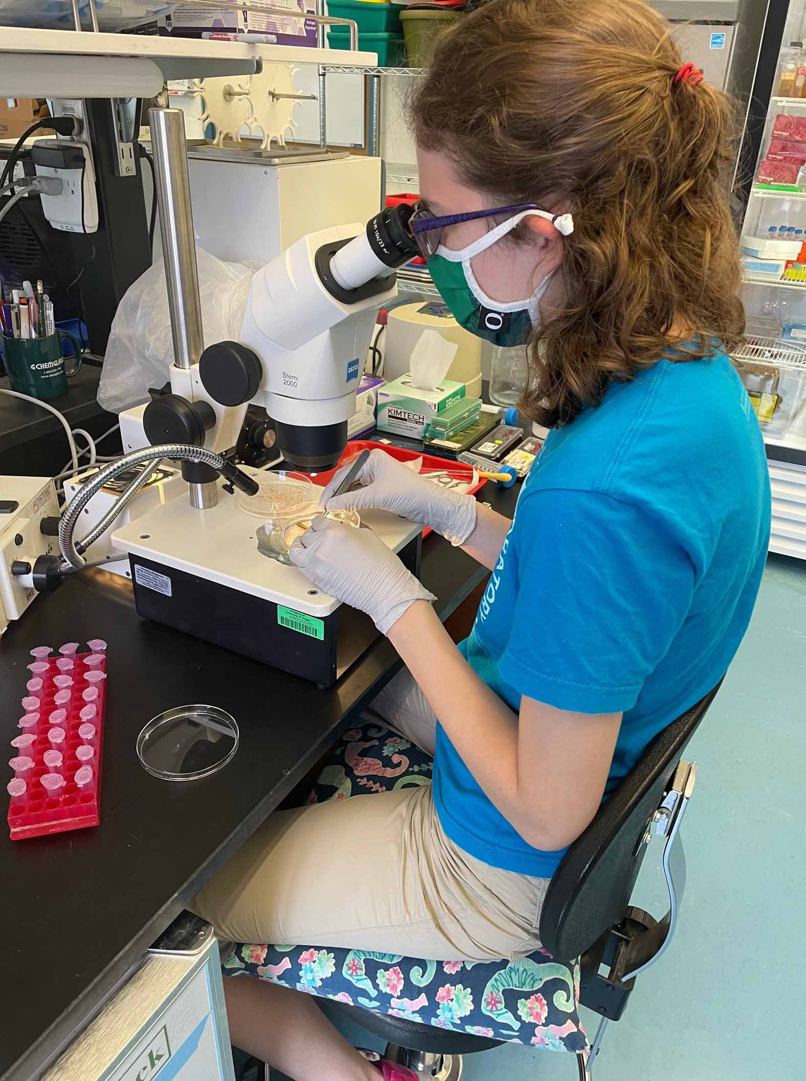 A woman sitting in front of a microscope