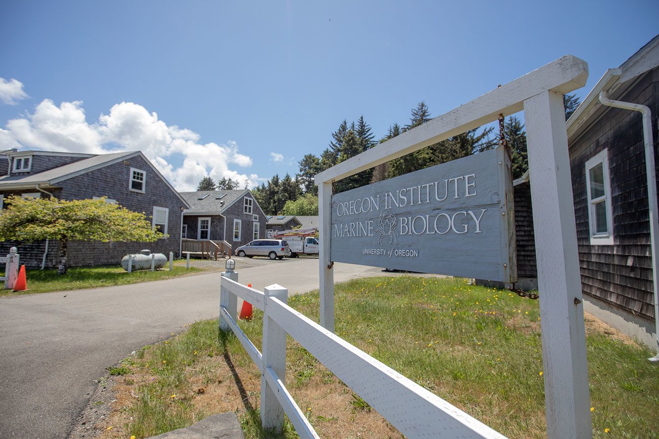 A white, wooden campus sign says