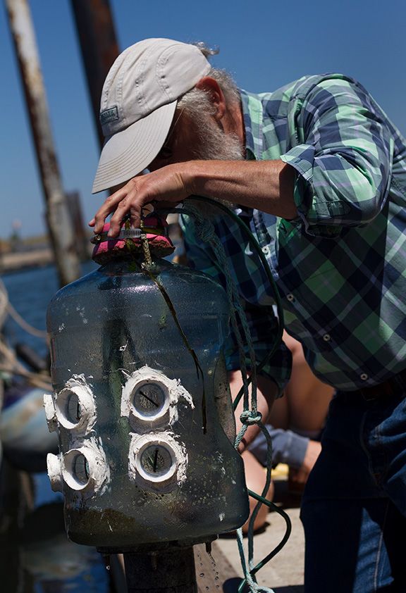 Alan Shanks holds up his light trap at a dock