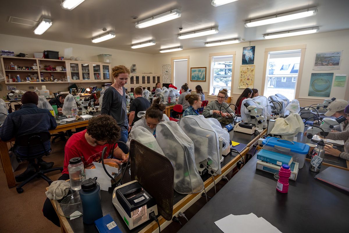 Students work at lab benches in a classroom with Maya Watts looking over the shoulder of a pair