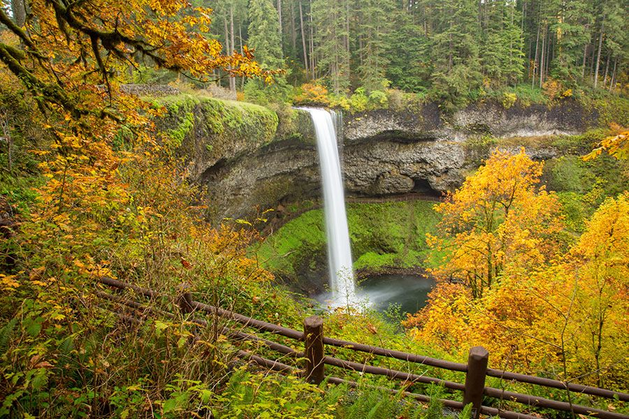 Waterfall and trees