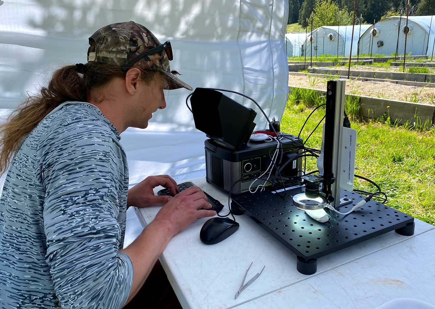 New AI cameras are watching the outdoors to spot endangered bees