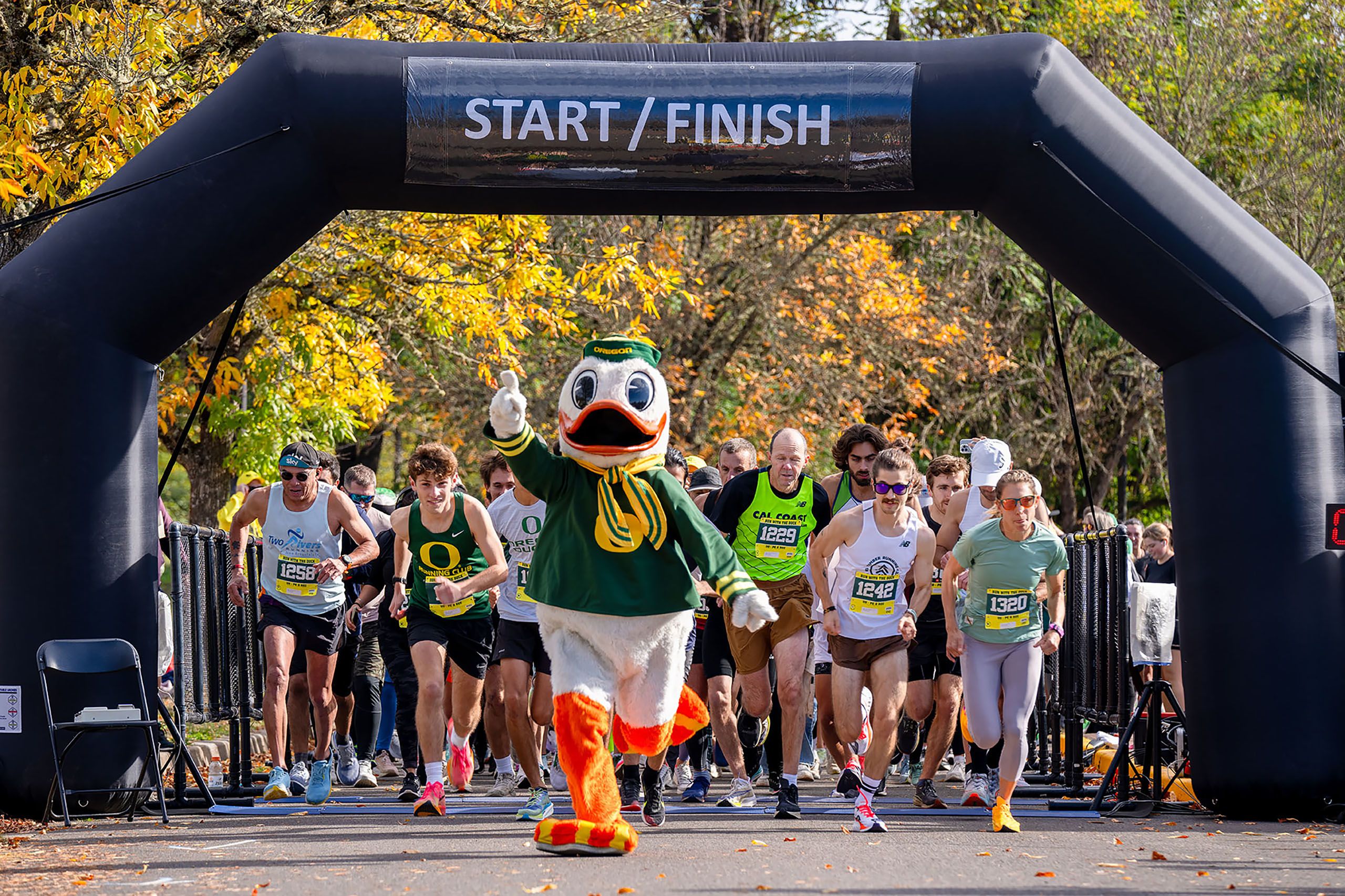 The Oregon Duck leading a group of runners