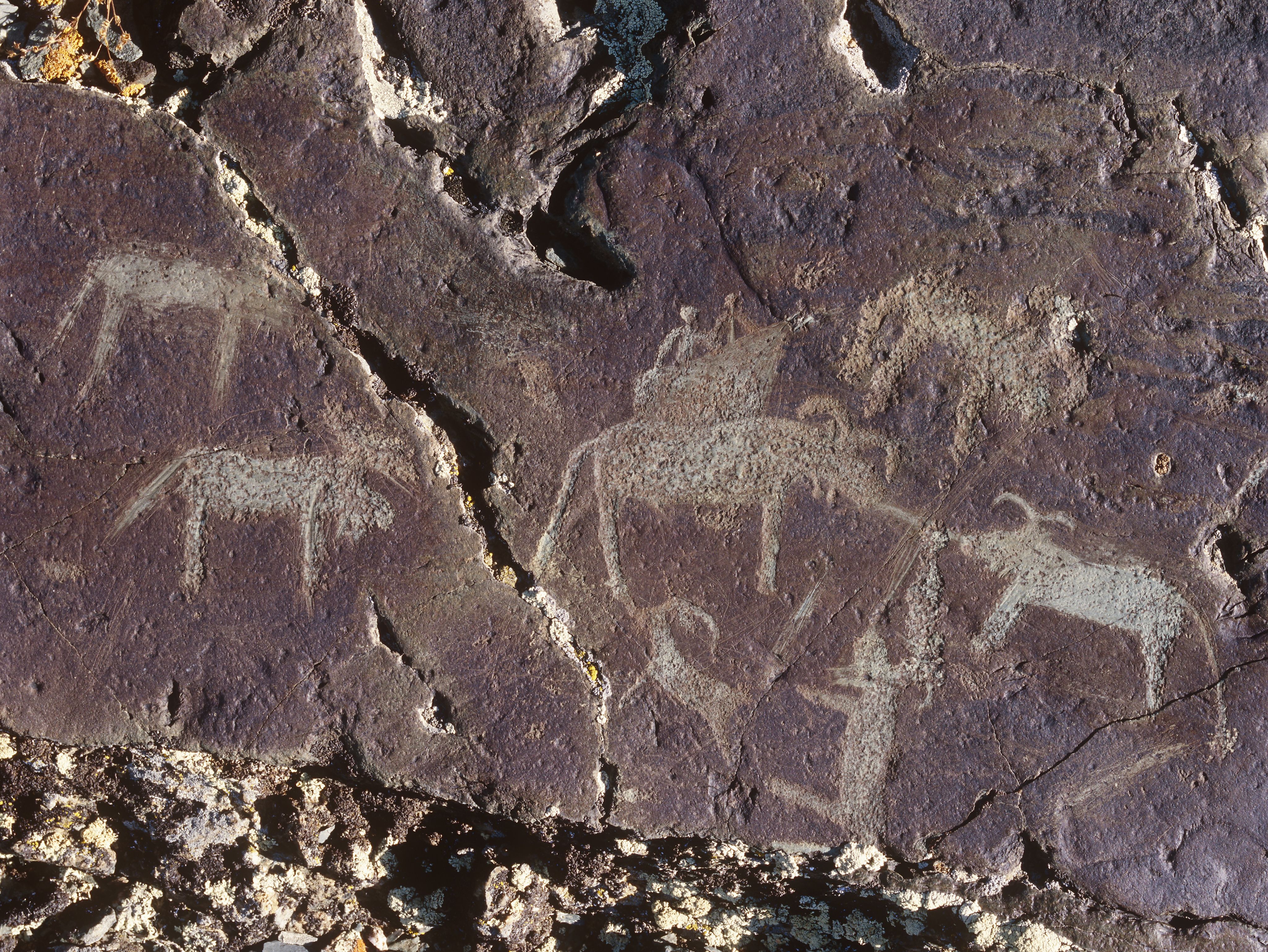 A reddish rock with petroglyphs
