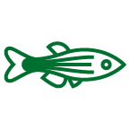 Green zebrafish icon