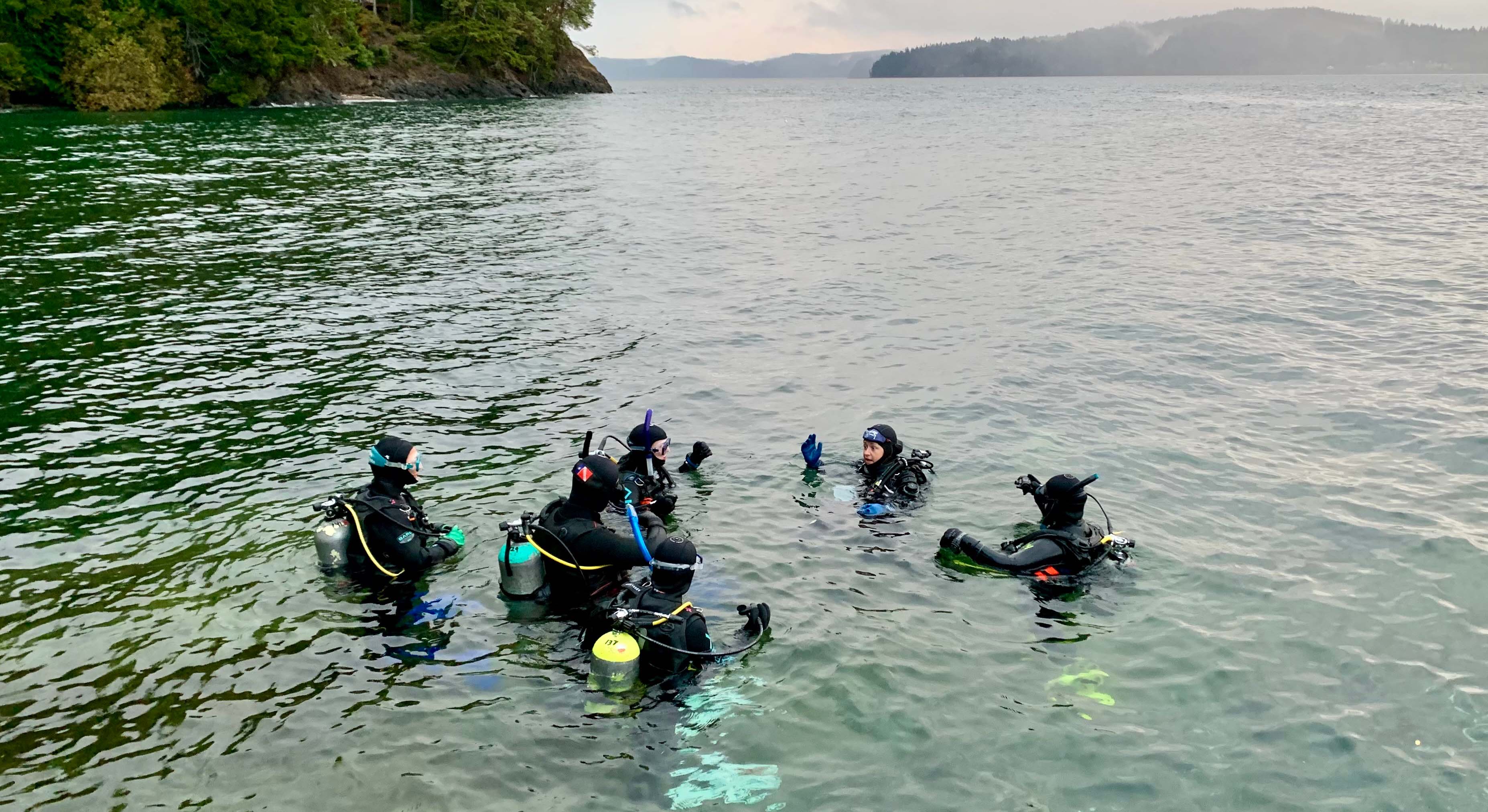 A group of scuba divers floating in a lake