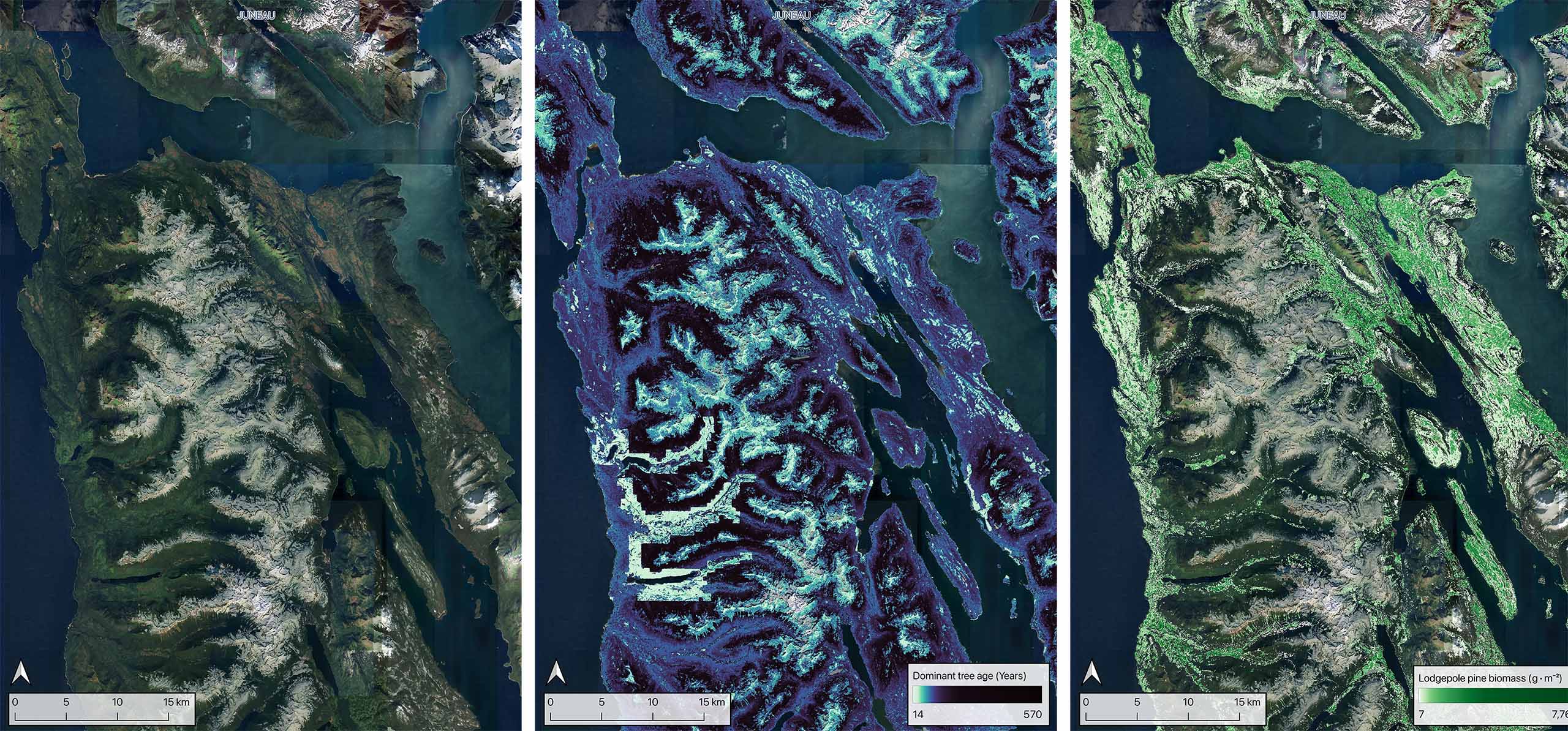 Three satellite maps showing terrain, forest structure and tree species