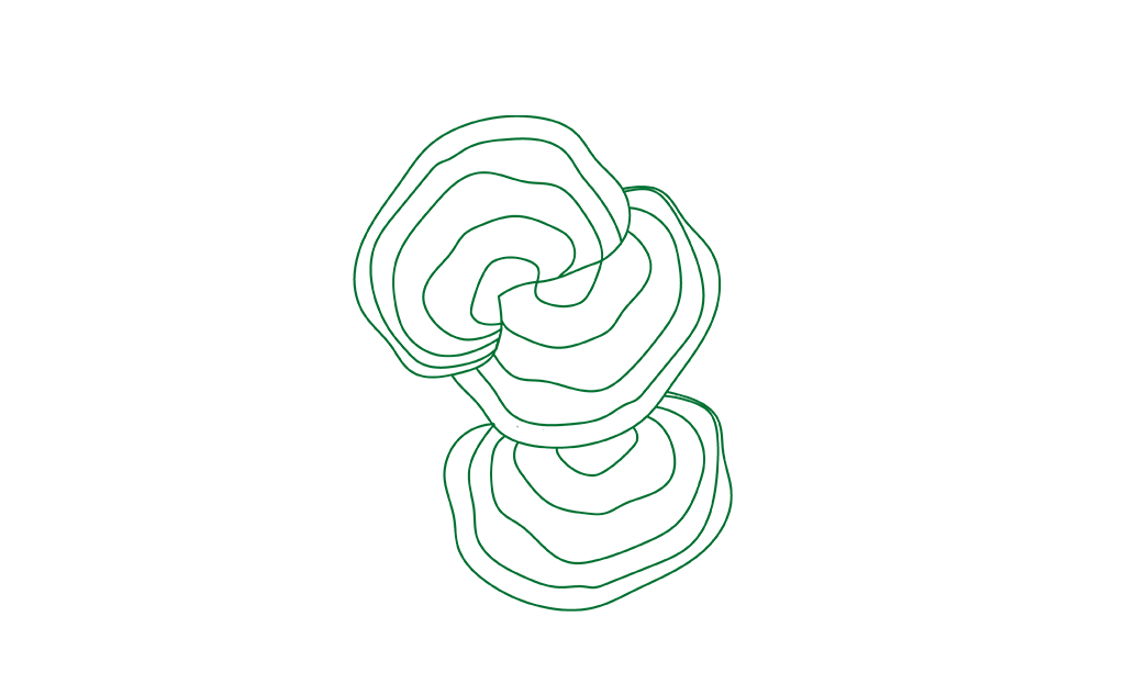 Student researcher develops building materials from mycelium